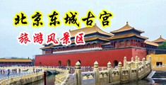 操淫骚巨七条中国北京-东城古宫旅游风景区